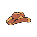 Cowboy Hat